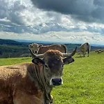 Сasa de vacaciones Family House With Pool On The Aubrac