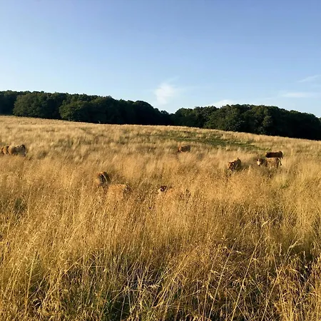 Family House With Pool On The Aubrac Сasa de vacaciones *