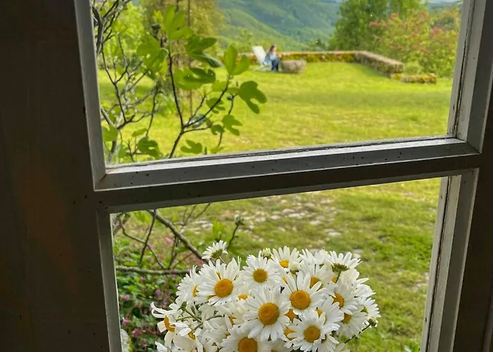 Family House With Pool On The Aubrac *