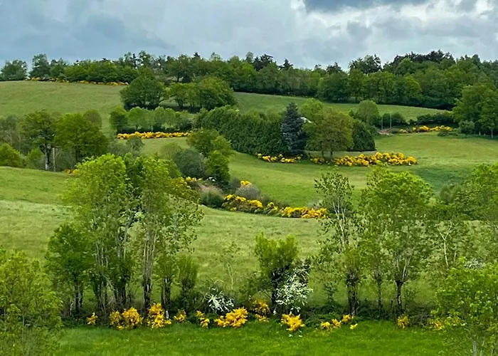 Сasa de vacaciones Family House With Pool On The Aubrac