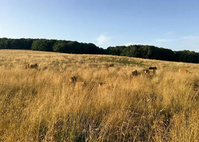 Family House With Pool On The Aubrac Сasa de vacaciones *