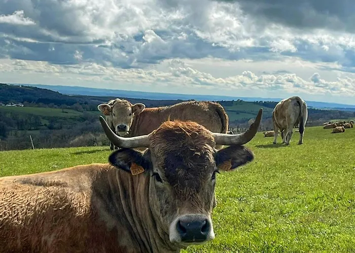 Сasa de vacaciones Family House With Pool On The Aubrac