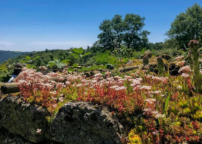 Family House With Pool On The Aubrac * Montpeyroux (Aveyron)